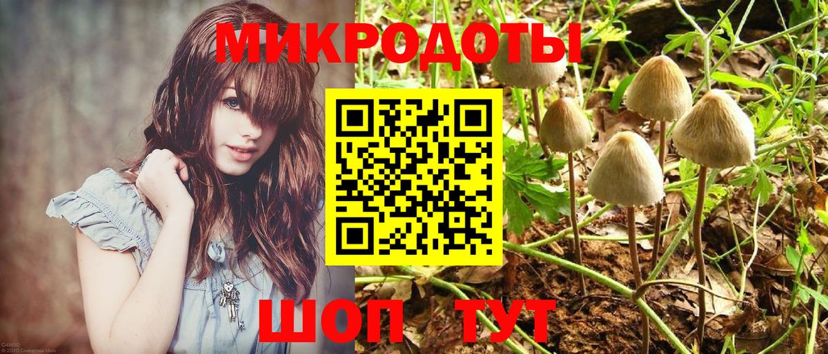 Ачинск  Псилоцибиновые грибы мицелий  Вход с VPN 
